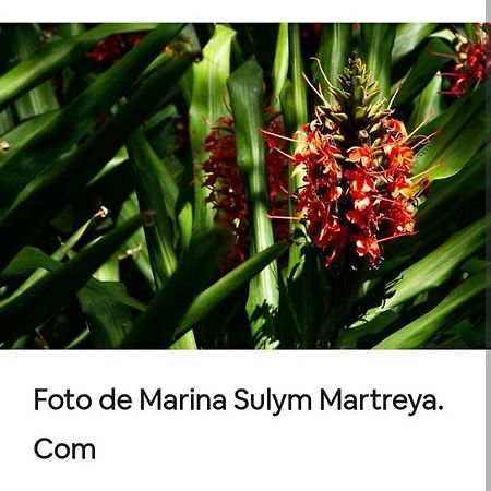 Jardin De Naipi 3 Διαμέρισμα Πουέρτο Ιγκουασού Δωμάτιο φωτογραφία